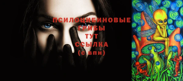твердый Каменногорск