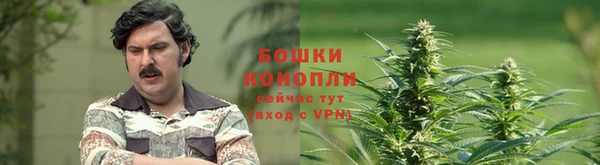 не бодяженный Каменка