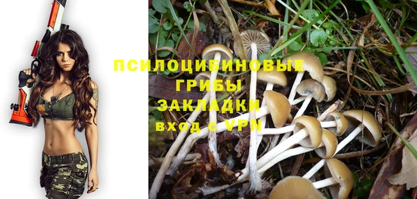 не бодяженный Каменка