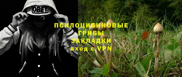 не бодяженный Каменка