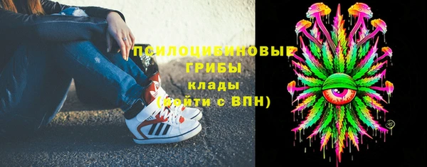 твердый Каменногорск