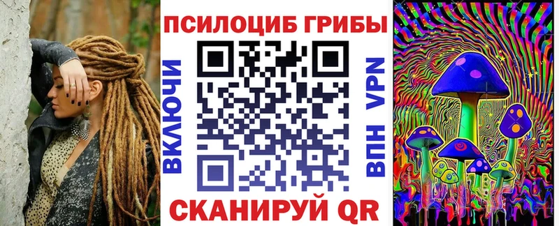 Псилоцибиновые грибы мицелий  Купить закладки  Гудермес 